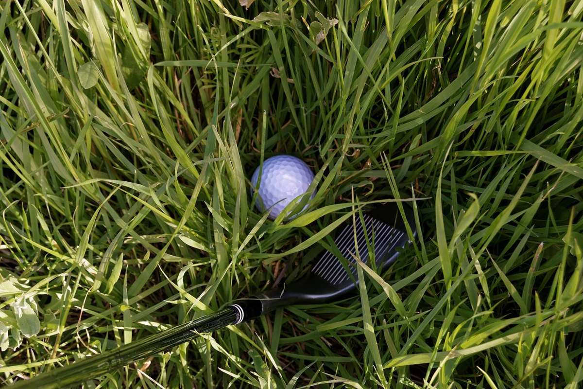 Golf-ball in the rough